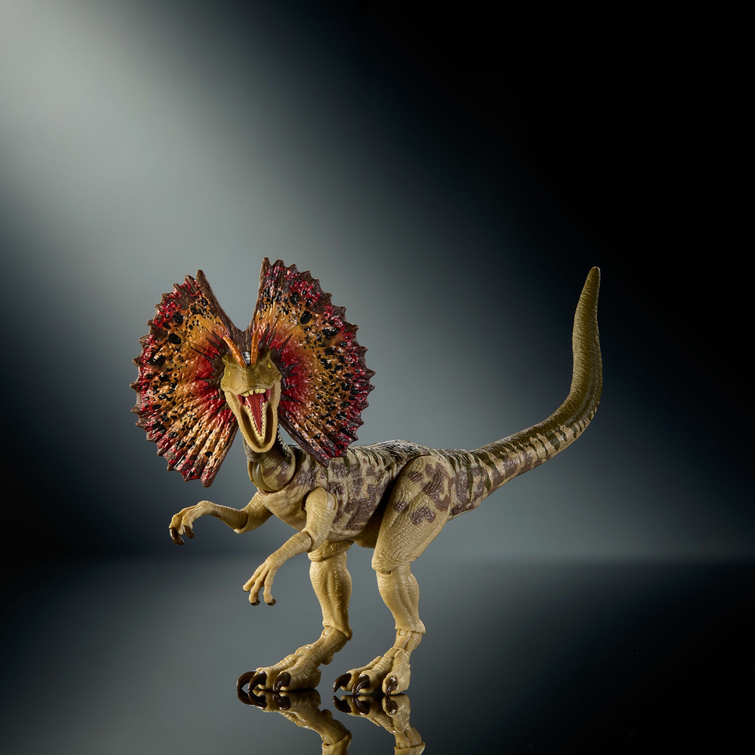 Jurassic World Hammond Collection Dilophosaurus Dinosaur Figure. Deluxe Design And Articulation - Image 5