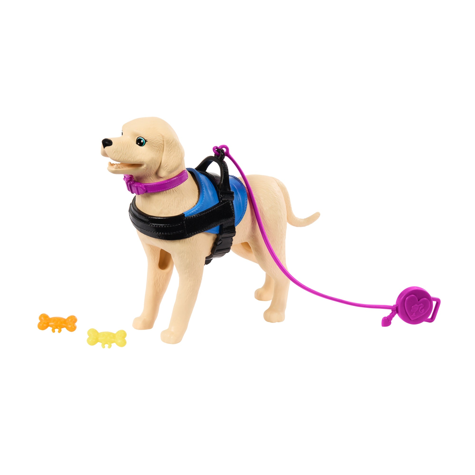 Barbie Doll & Service Dog Playset With Wheelchair. Ramp & Accessories. Brunette Fashion Doll - Image 5
