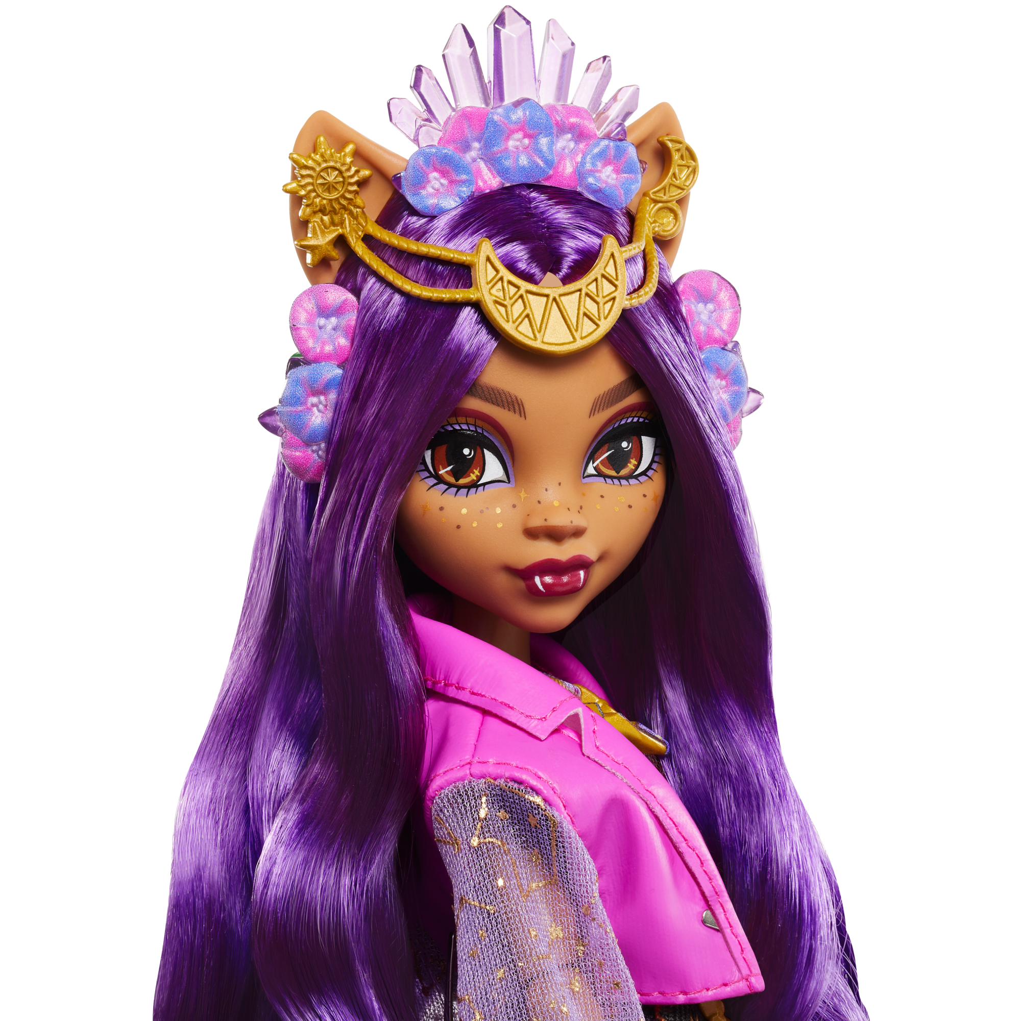 Monster High Monster Fest Clawdeen Wolf Fashion Doll With Festival Outfit. Band Poster And Accessories - Image 3