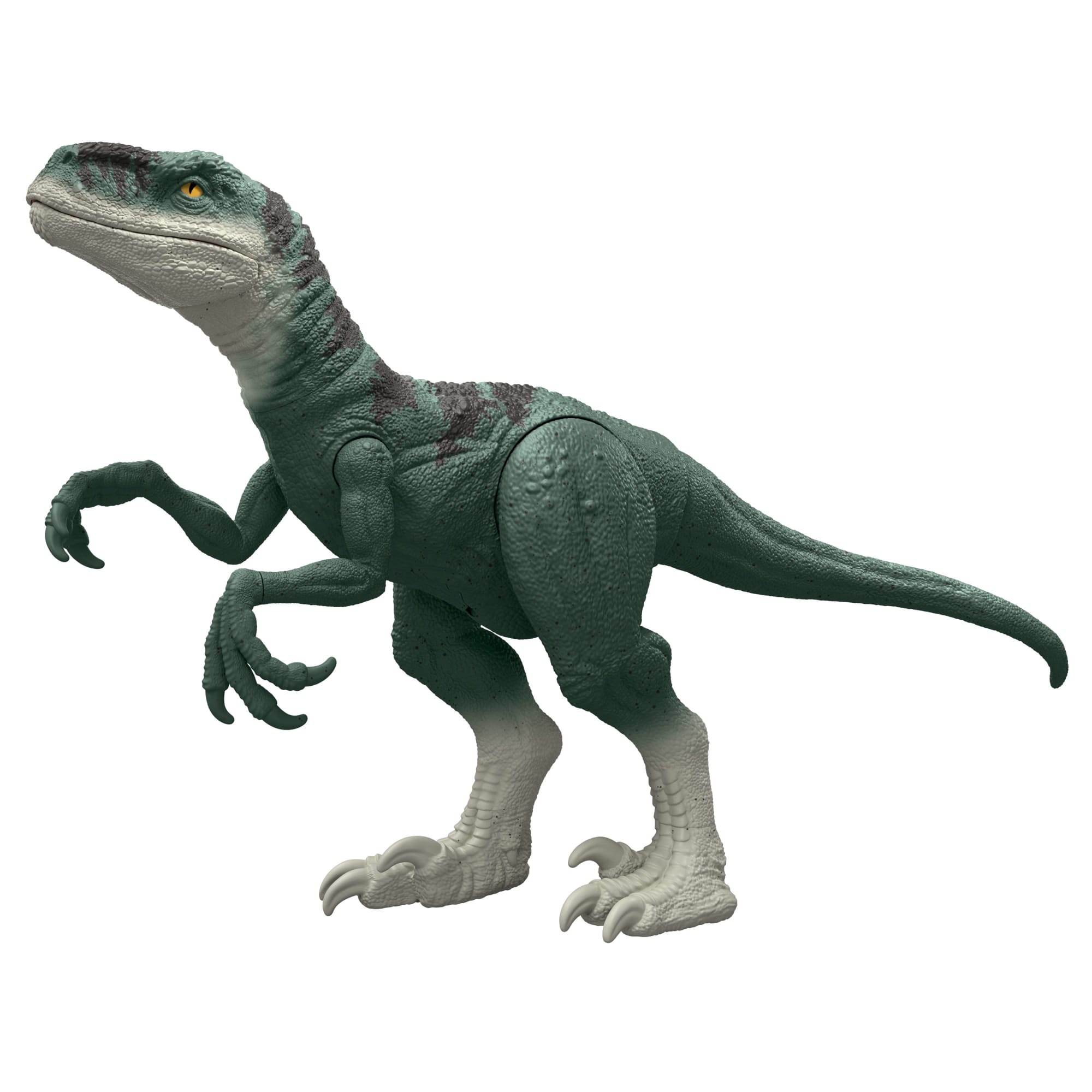 Jurassic World Super Colossal Dinosaur Pack With 1 XL 37 inch Long Atrociraptor. 4 Minis - Image 2