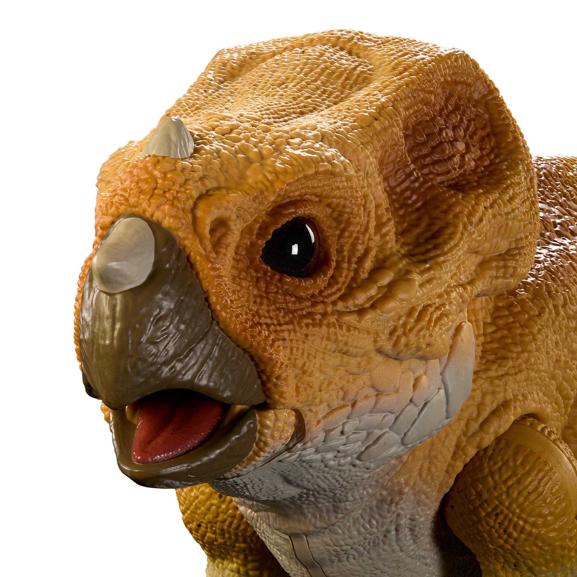 Jurassic World Hammond Collection Screen Scale Aquilops 'Dolores' - Image 4