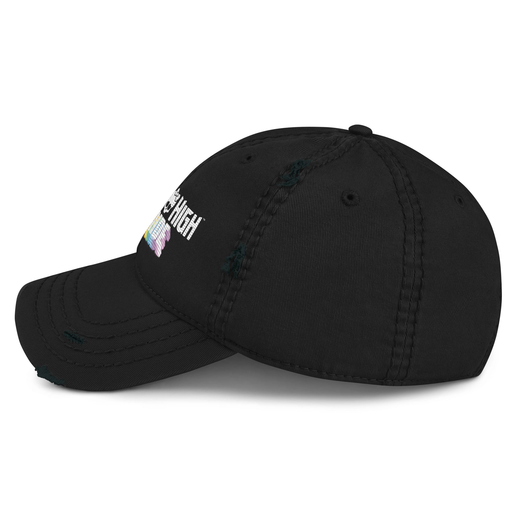 Monster High Pride Logo Black Hat - Image 4