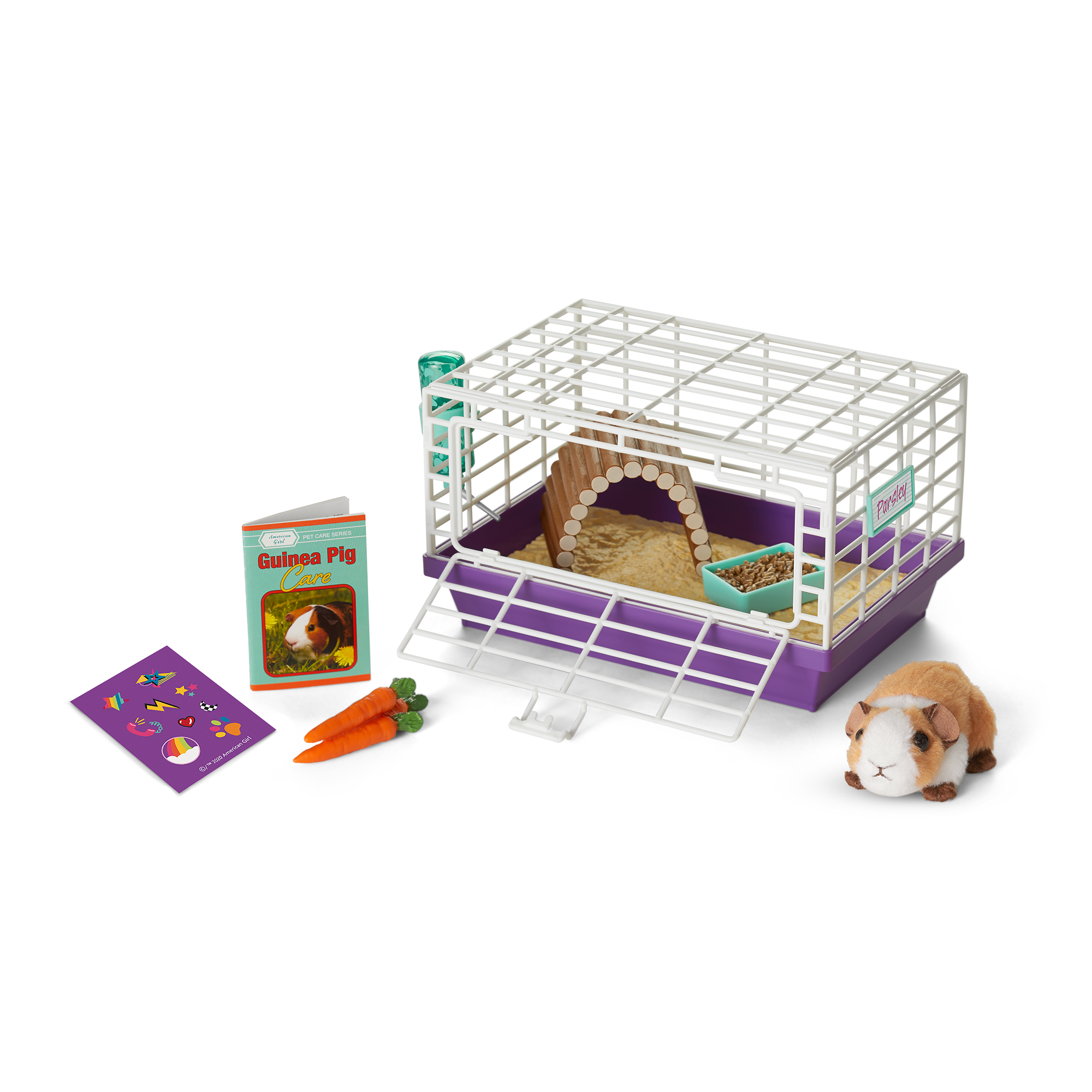 Courtney's™ Guinea Pig (Historical Characters)