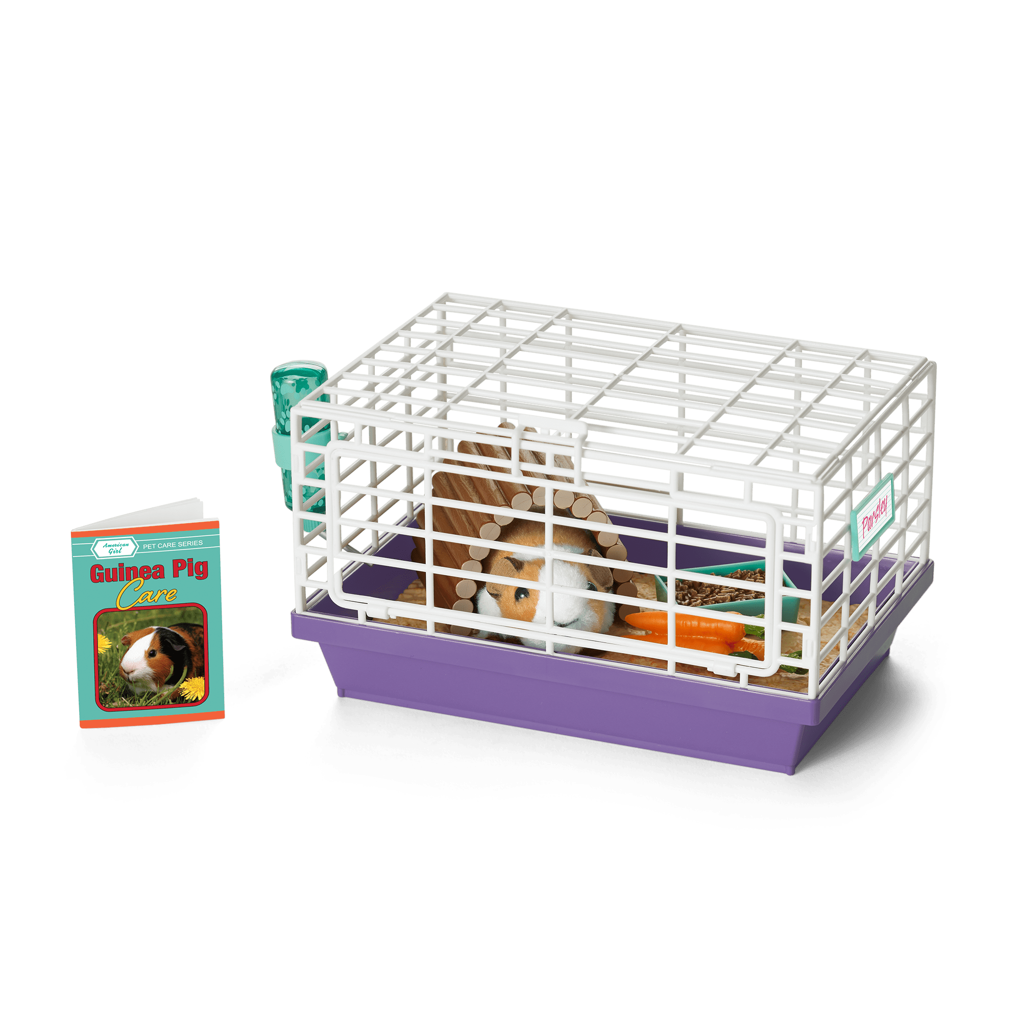 Courtney's™ Guinea Pig (Historical Characters) - Image 2