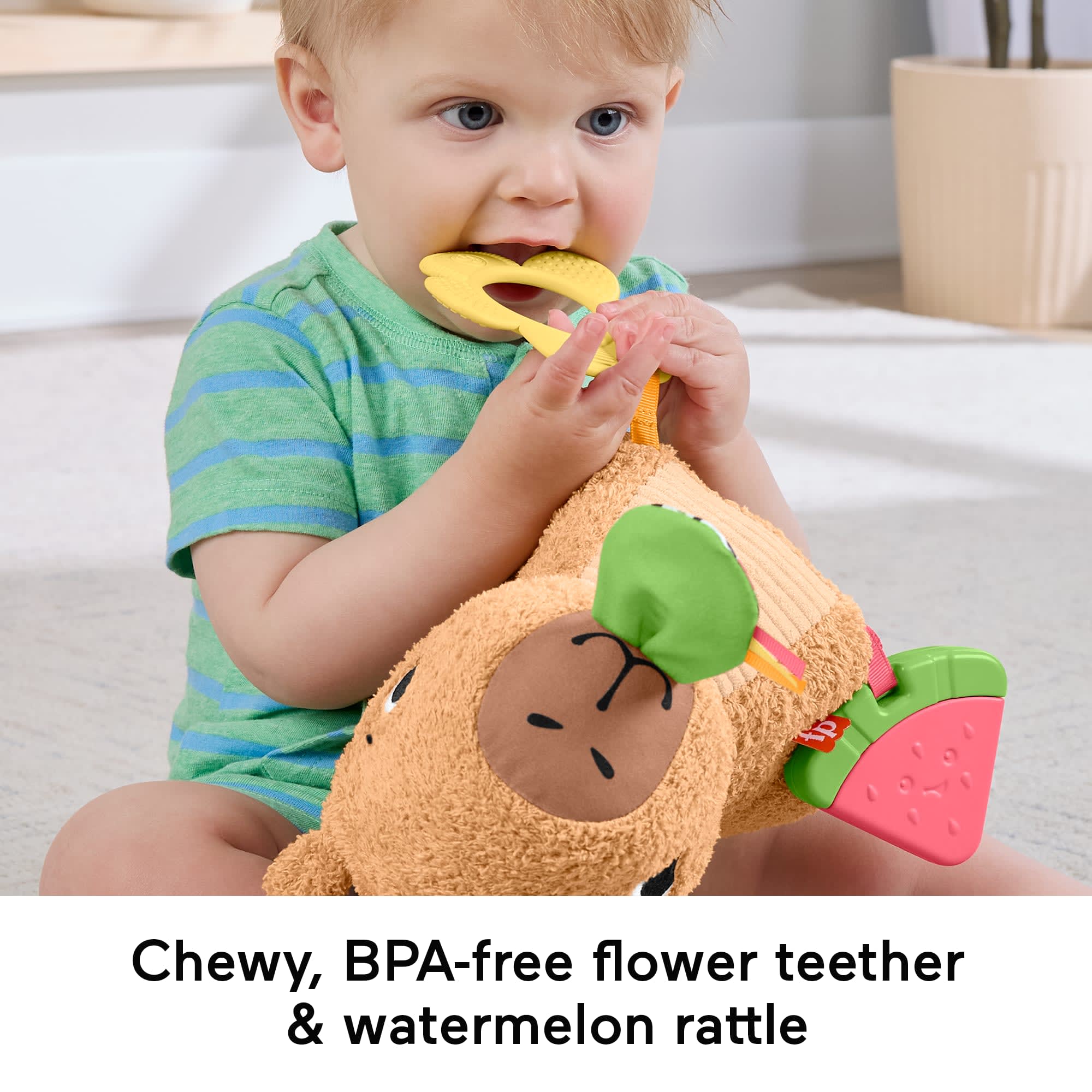 Fisher-Price Snuggly Snacky Capybara Plush Baby Sensory Toy With Teether & Rattle For Newborns - Image 4