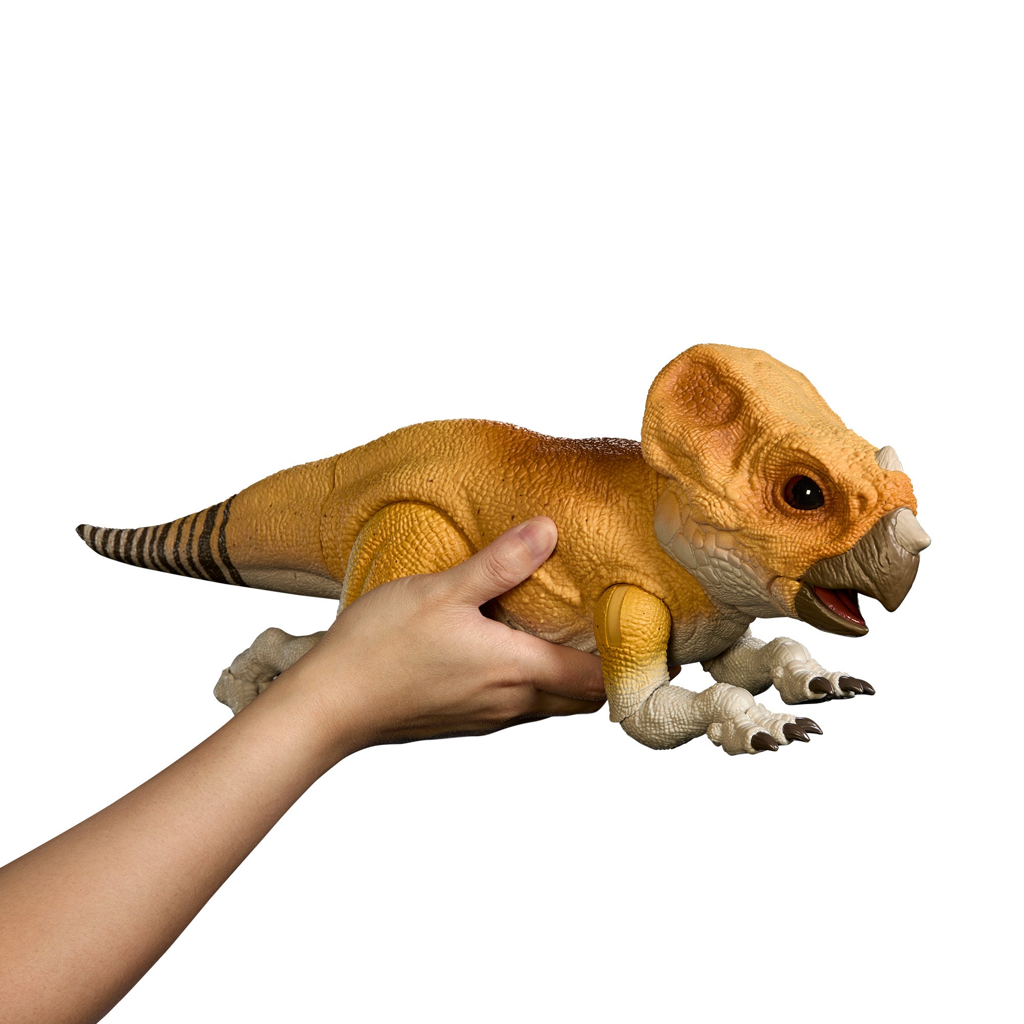 Jurassic World Hammond Collection Screen Scale Aquilops 'Dolores' - Image 5