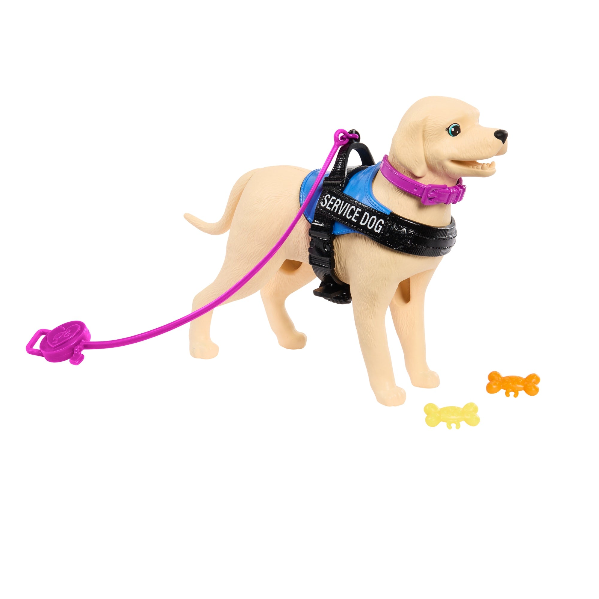 Barbie Doll & Service Dog Playset With Wheelchair. Ramp & Accessories. Brunette Fashion Doll - Image 3