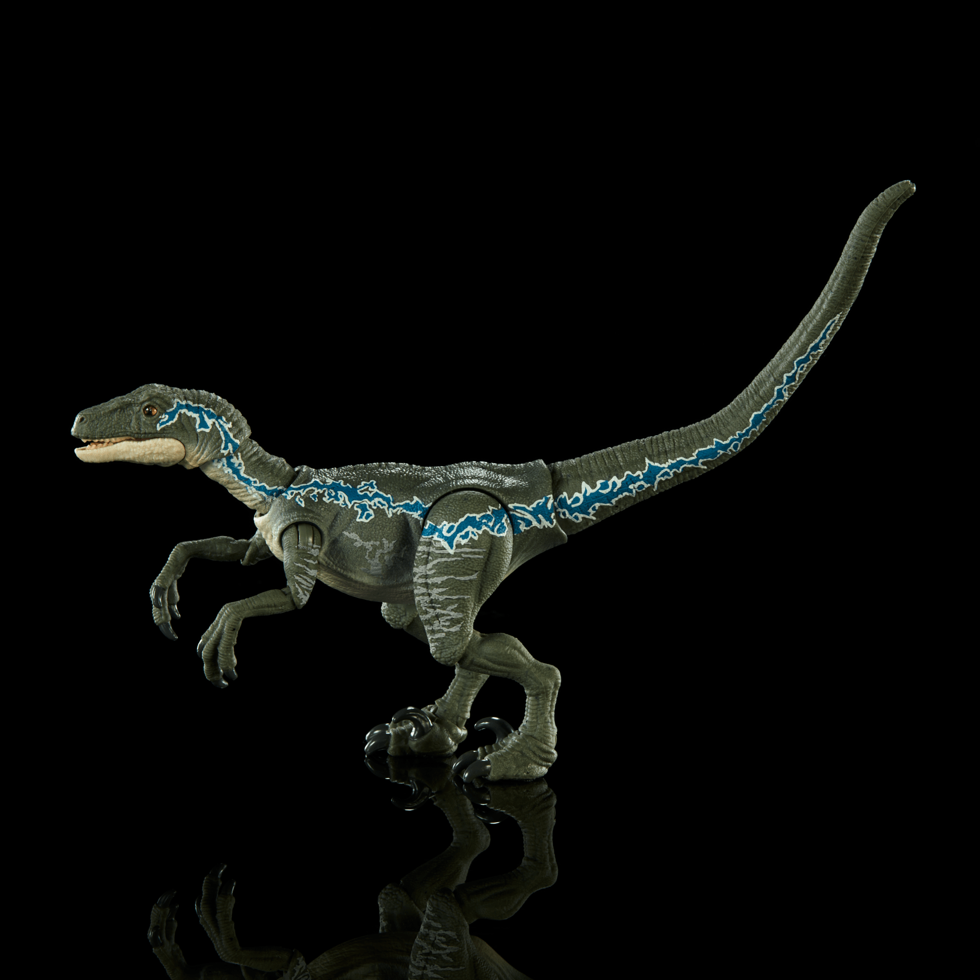 Jurassic World Hammond Collection Velociraptor Blue Dinosaur Figure - Image 4