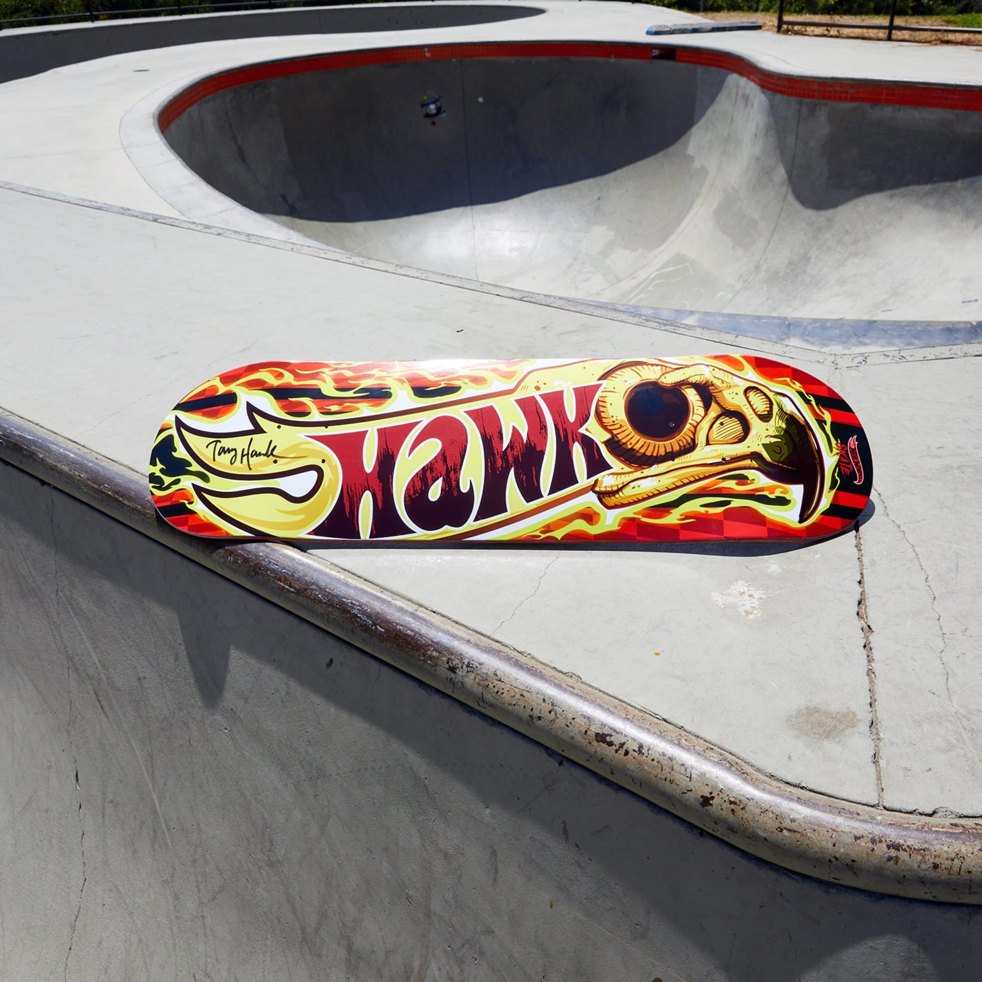 Tony Hawk x Hot Wheels Skate. Wildfire Deck & Fingerboard - Image 6