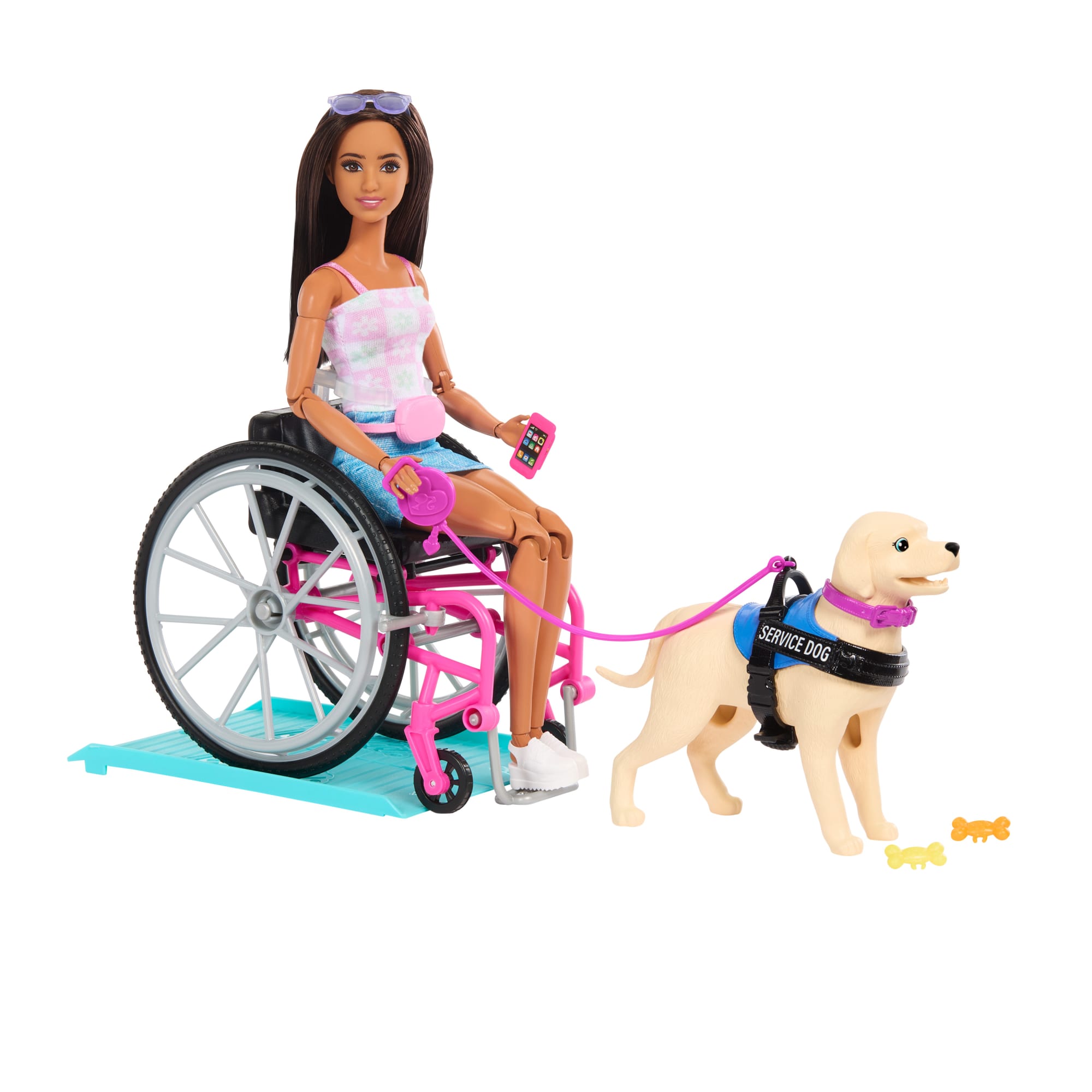 Coffret de Poupée Barbie et Chien D'Assistance Avec Poupée Aux Cheveux Bruns
